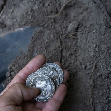 trésor, pièces, terre, découverte, archéologie, histoire, monnaie, pelle