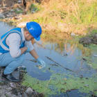 environnement, étude, pollution, eau