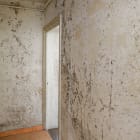DPE, moisissure, passoire énergétique, immobilier, insalubrité, précarité, logement, rénovation,