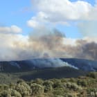 incendie, feux, forêt, climat, environnement, arbres