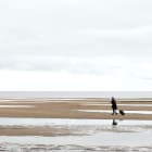 Plage, solitude, isolement, dépression