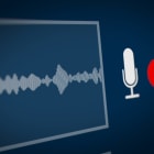 Audio Spectrum with REC (Record) Symbol on Screen Monitor