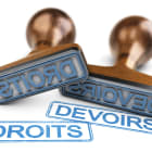 Tampons Droits et devoirs