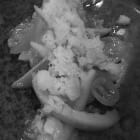 IMG134e6.jpeg
