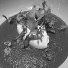 IMG136g5.jpeg
