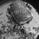 IMG137w2.jpeg