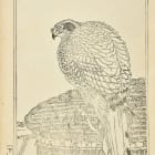 IMG404n6.jpg