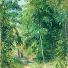 IMG404r7.jpg