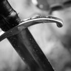 IMG407w9.jpg
