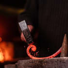 IMG416h3.jpg