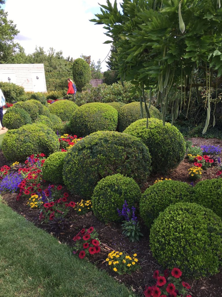 Terra Botanica et Les petits prés