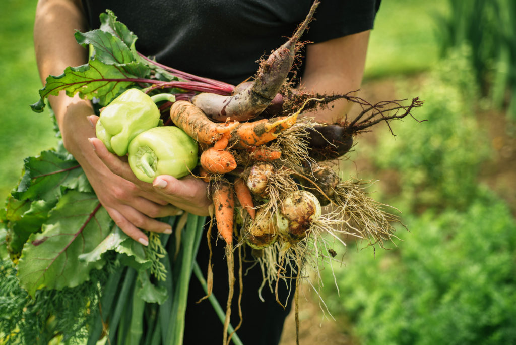 Agriculture biologique