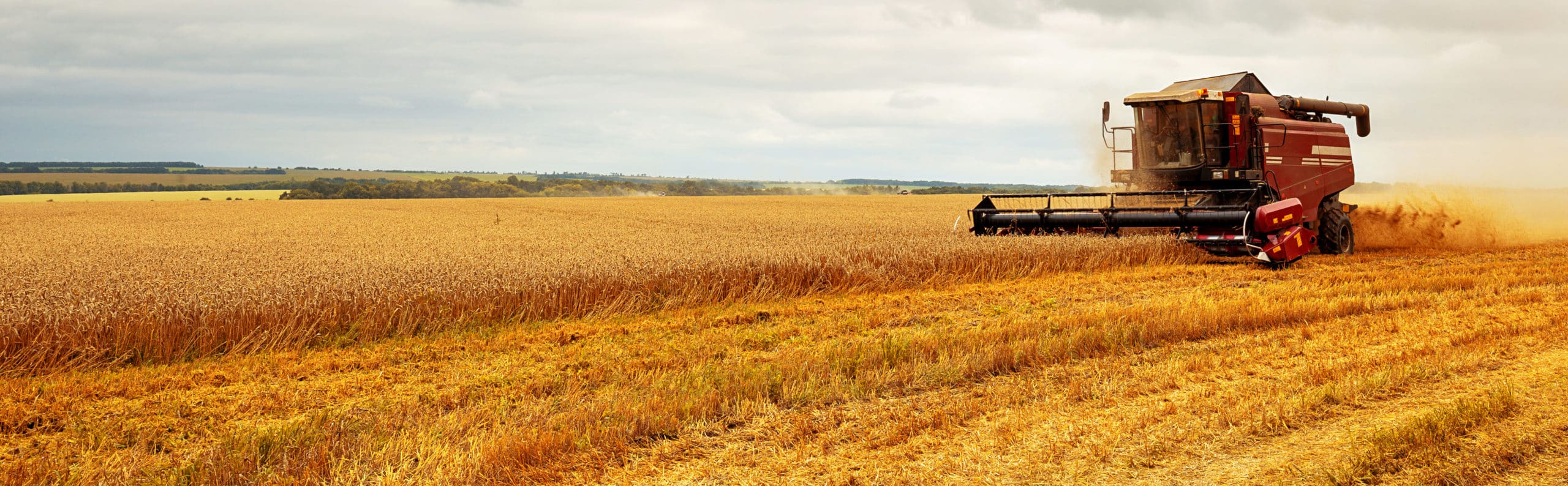 Tracteur dans un champs