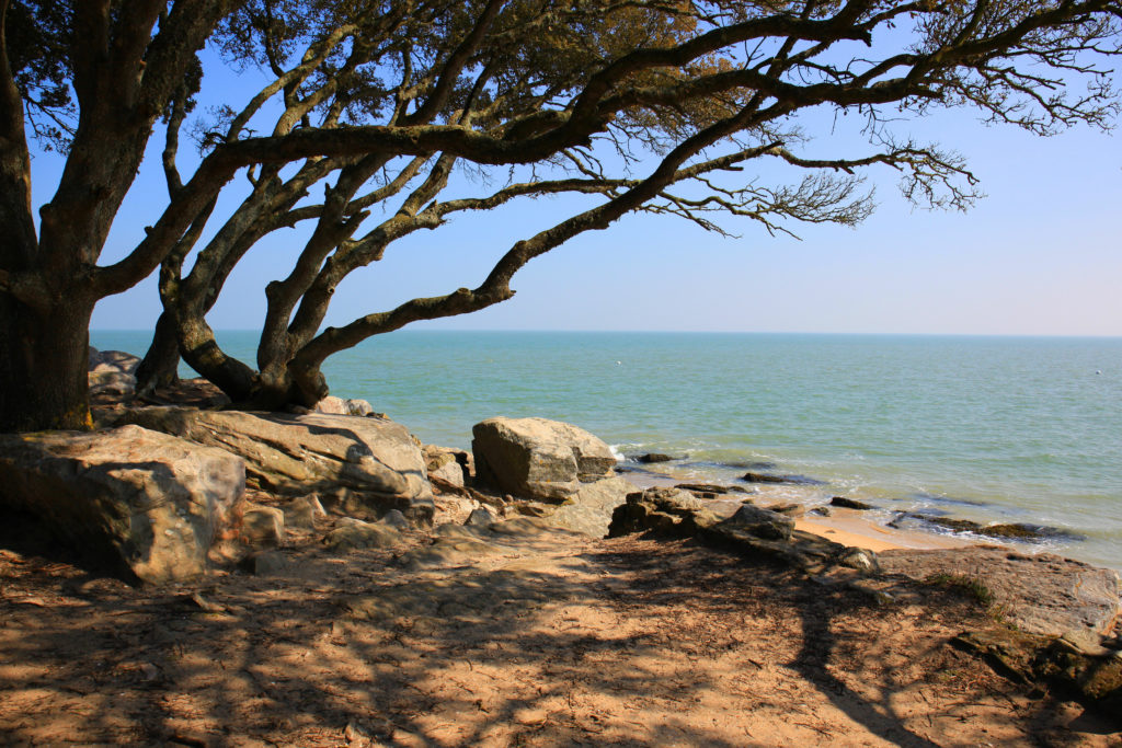 Photo d'une plage de Noirmoutier