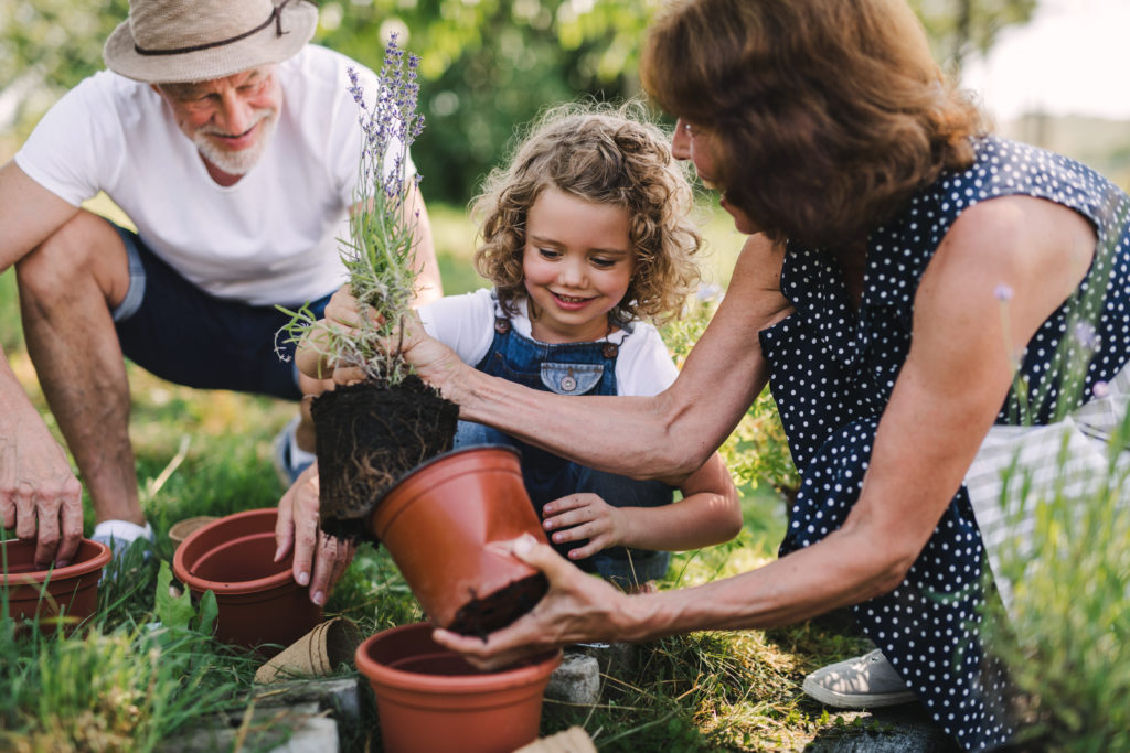 Grands-parents jardinant avec leur petite fille