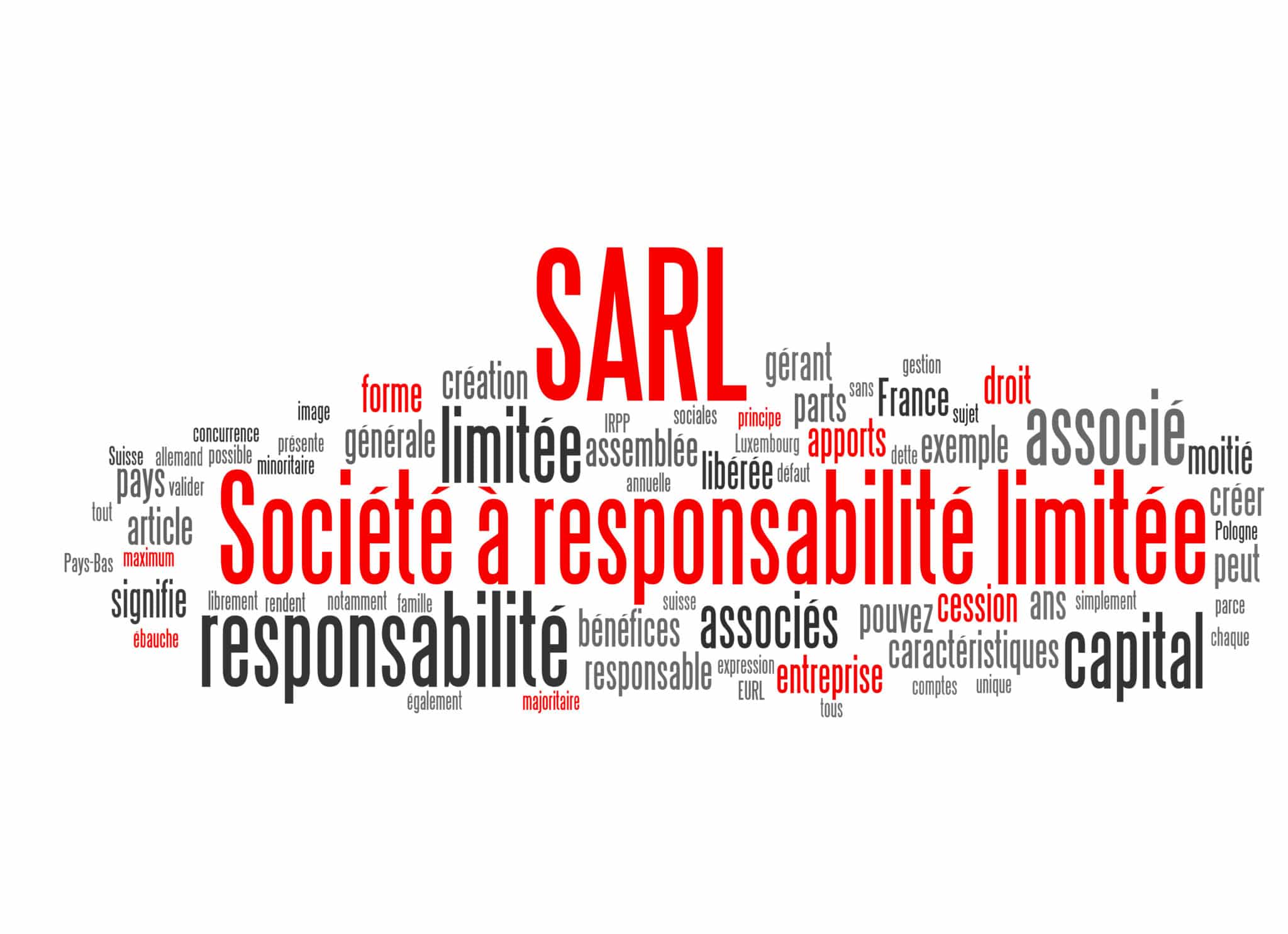 SARL à deux associés : la possibilité pour le gérant majoritaire de ...