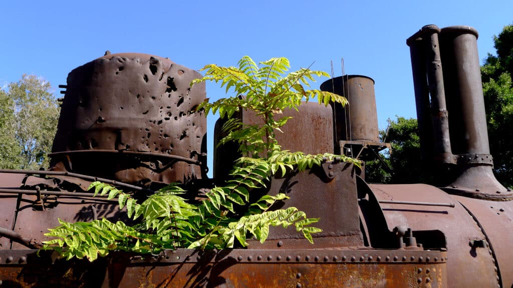 La locomotive de Beyrouth