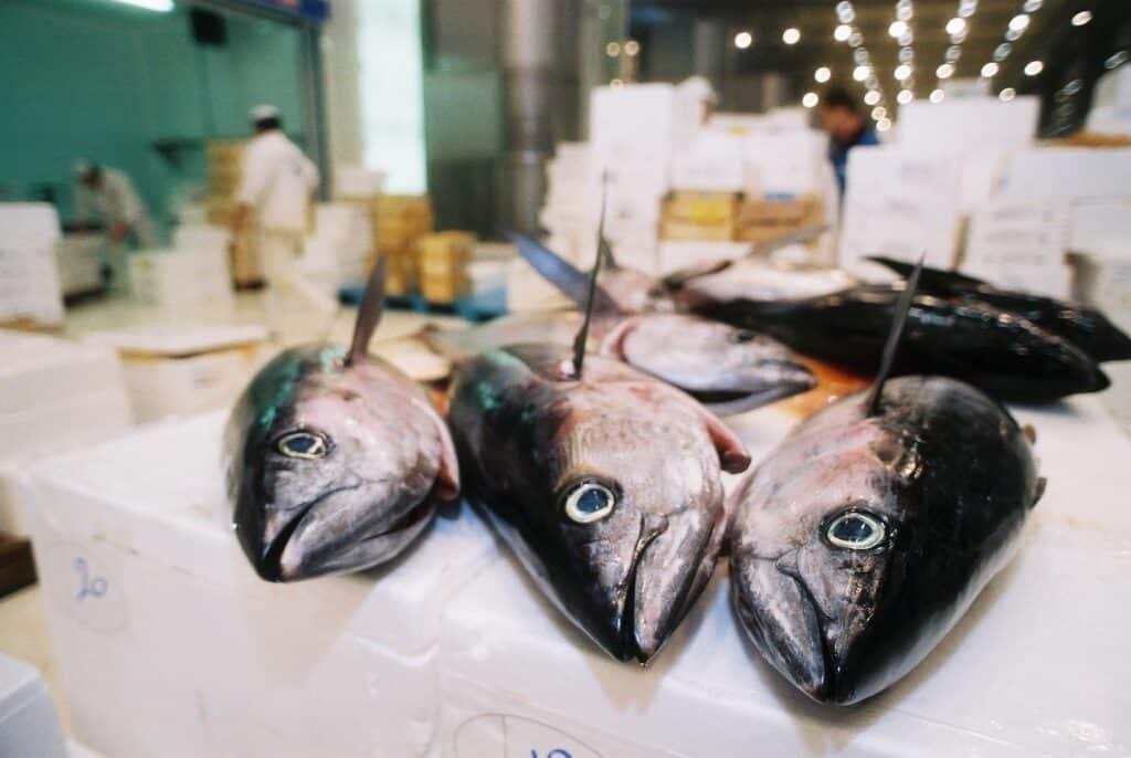 « Un chef d’entreprise n’est pas un chasseur de primes. C’est un chasseur d’activité ! »