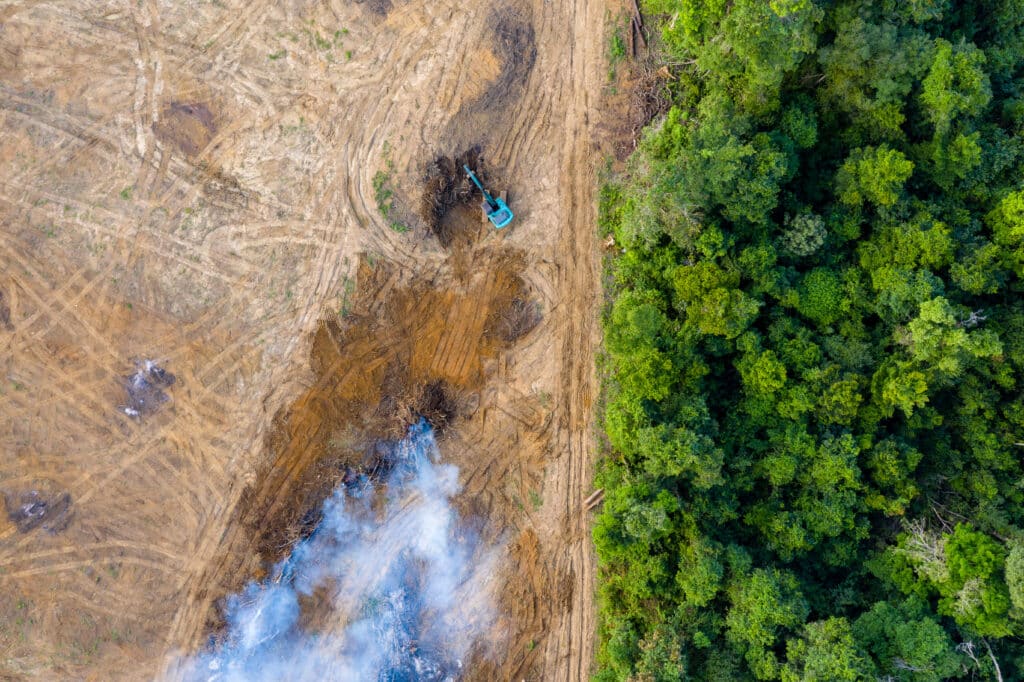 Environnement, écologie