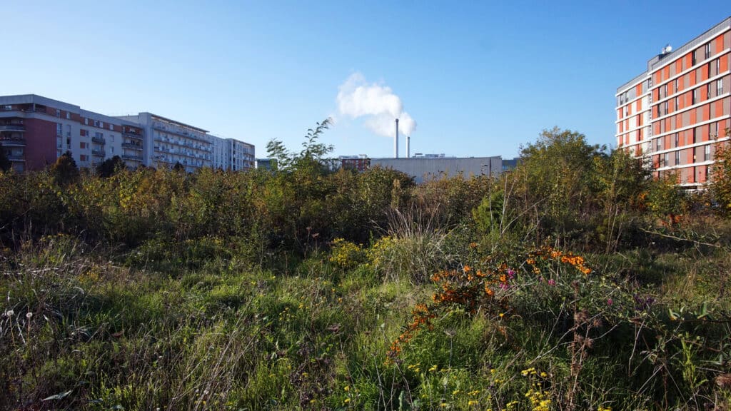 friche urbaine en banlieue parisienne