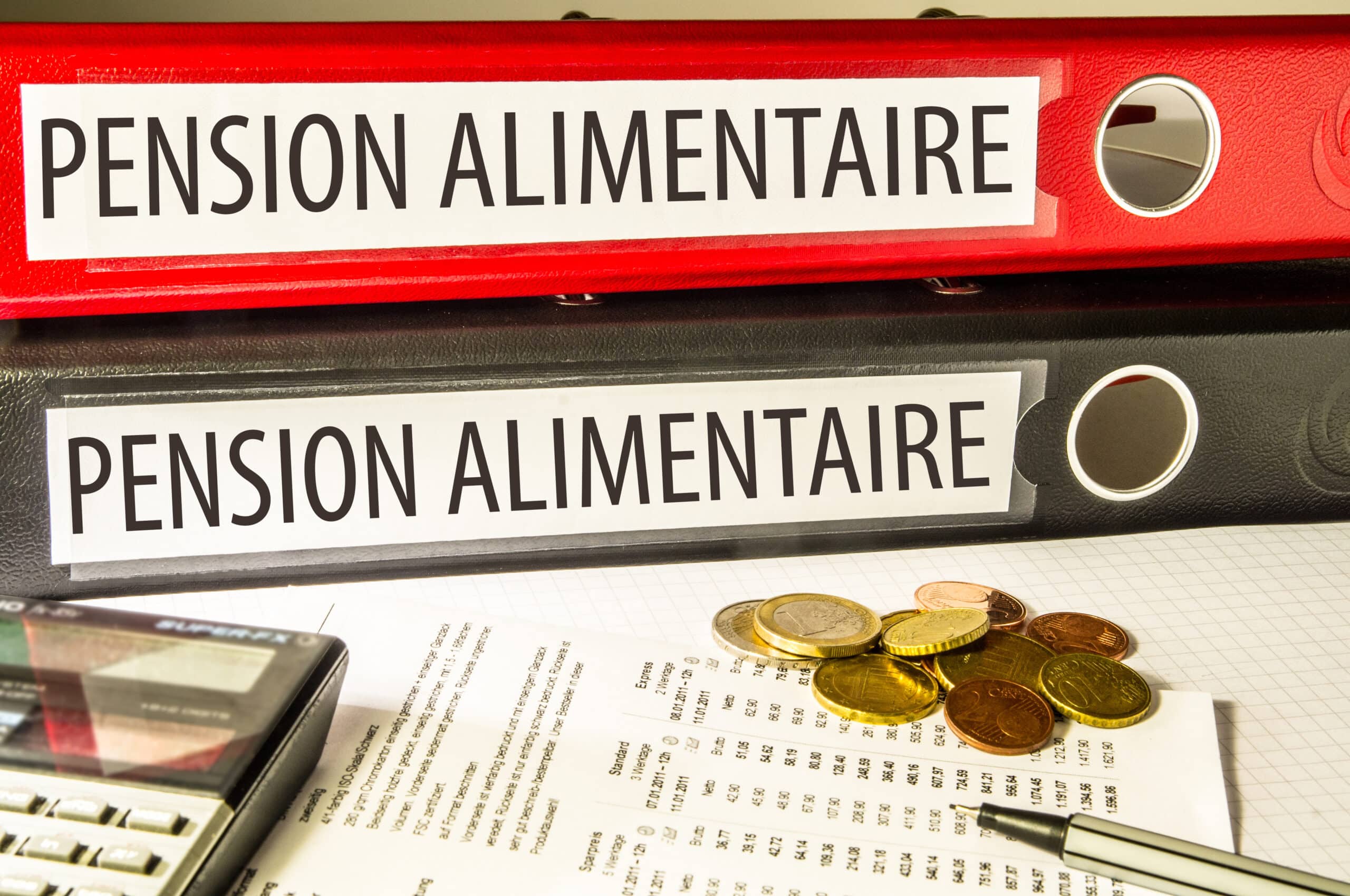 Accroître l’efficacité du versement des pensions alimentaires avec la réforme de l’intermédiation financière