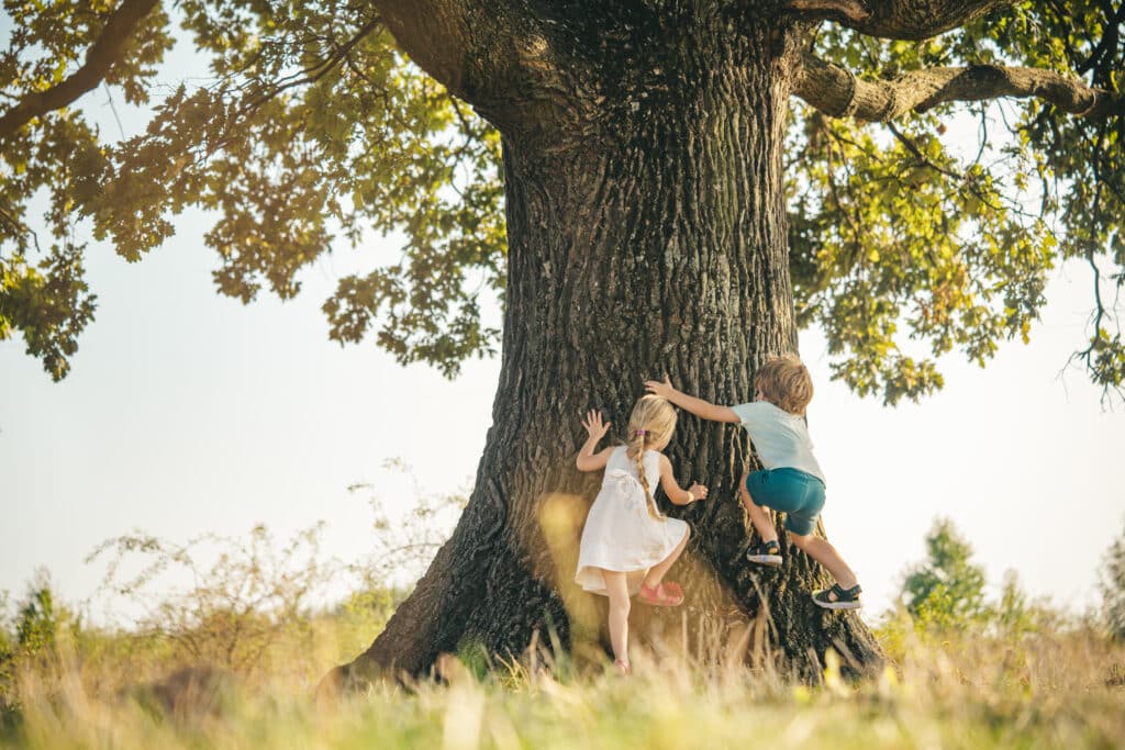 Arbre, nature, enfants