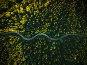 nature, environnement, forêt, route, climat, arbres