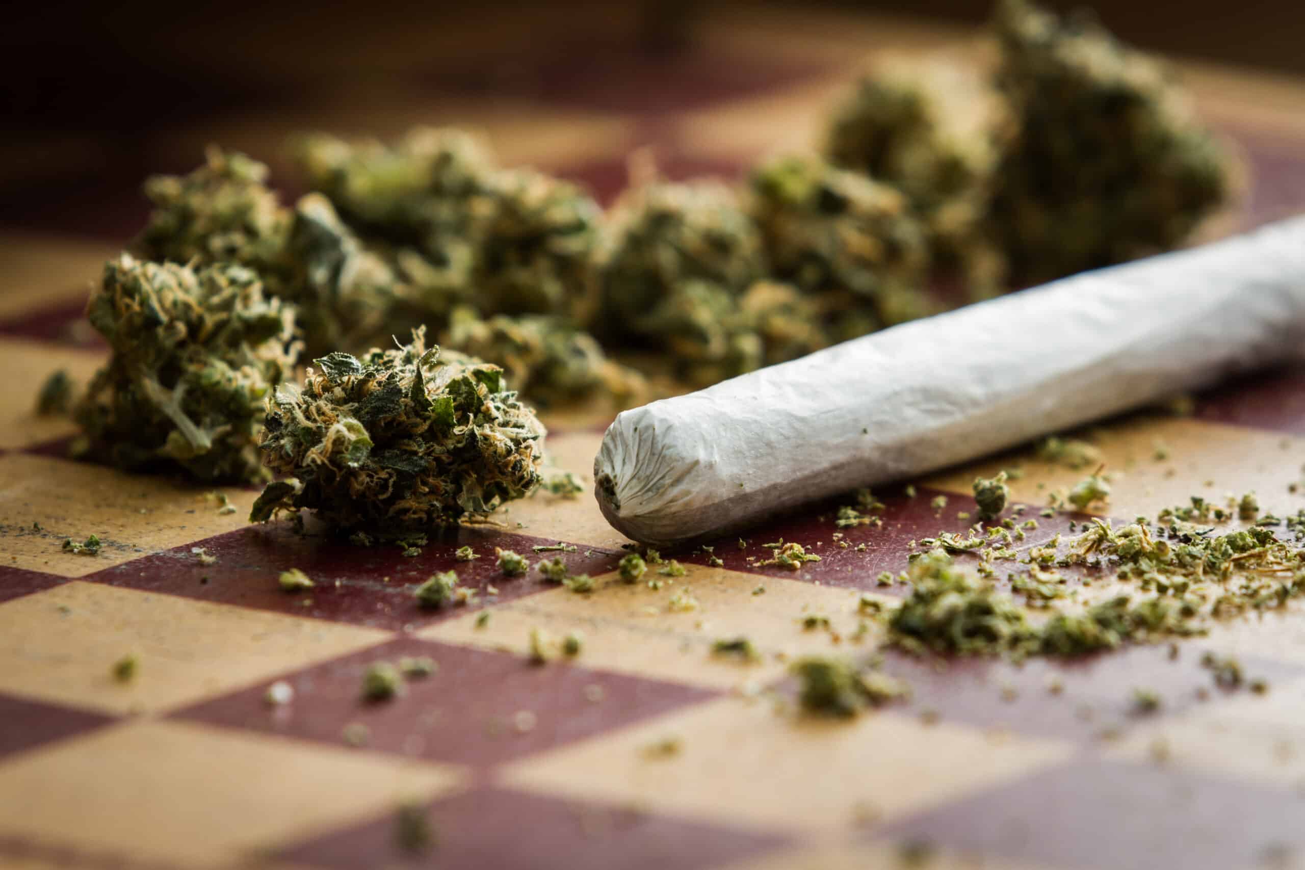 Cannabis : cessons d’épuiser la police et la justice dans cette guerre inutile !