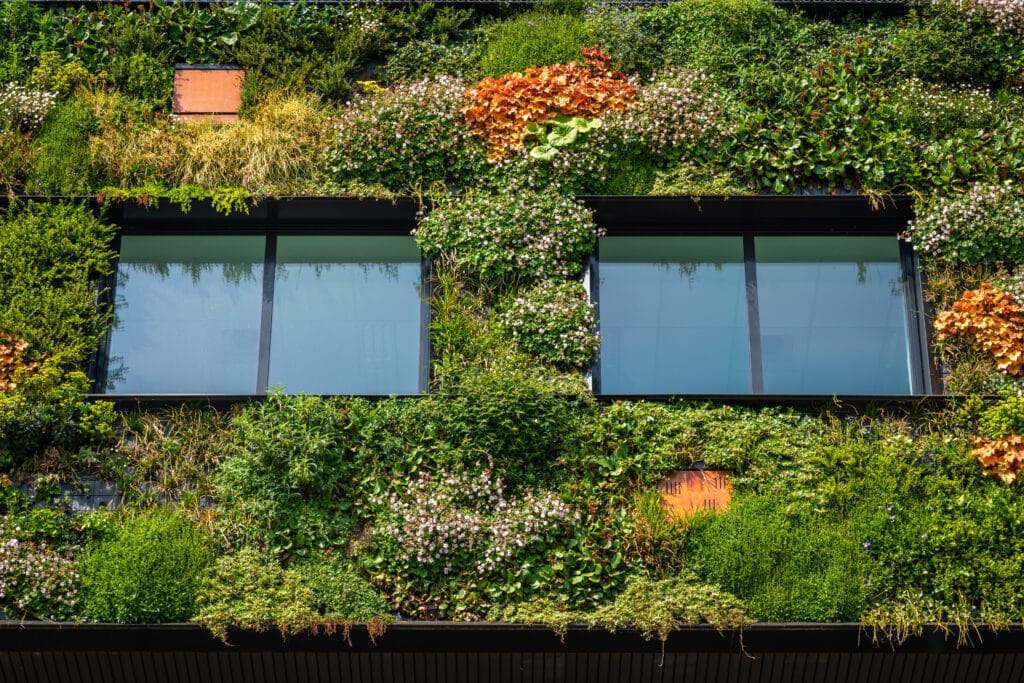 Mur végétalisé, plantes, végétalisation