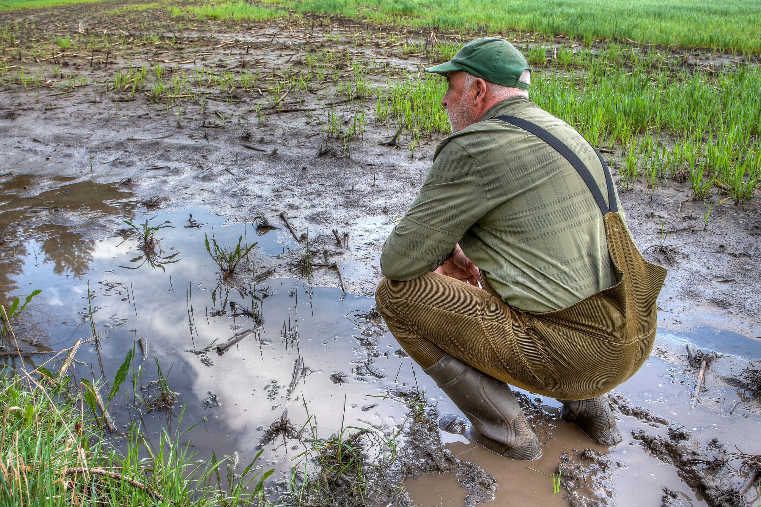 Quelles assurances pour lutter contre les risques climatiques en agriculture ?