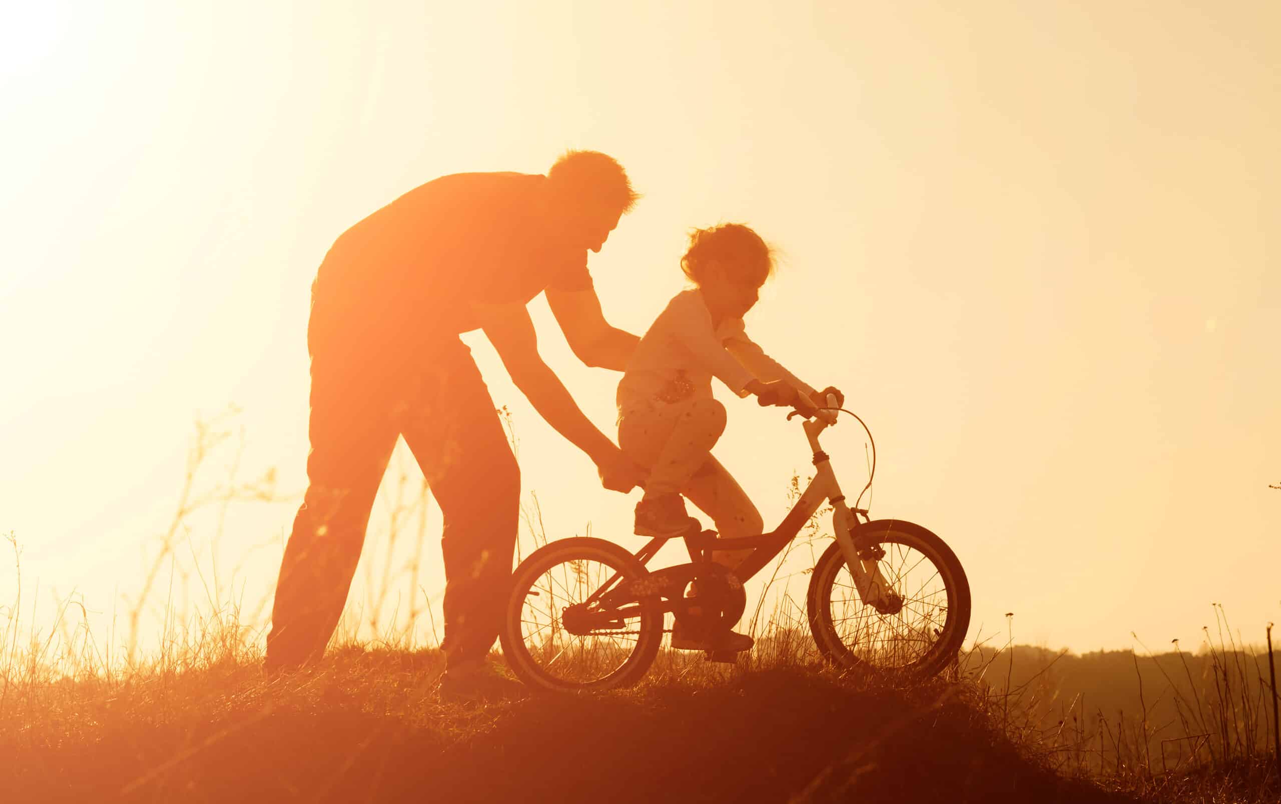 La transmission en famille au regard du droit