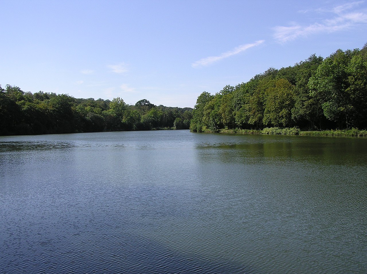 Les Yvelines, maillon fort de la politique pour la préservation de la biodiversité