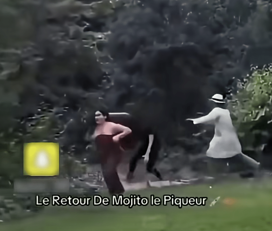 Tribunal de Paris : Mojito, le « piqueur fou » de TikTok, « regrette amèrement »