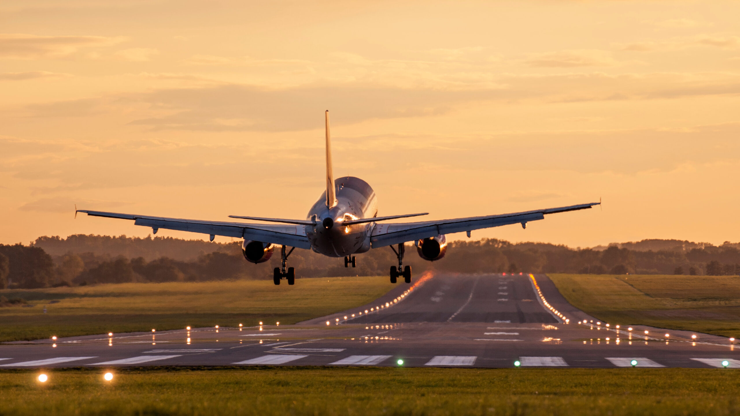 avion