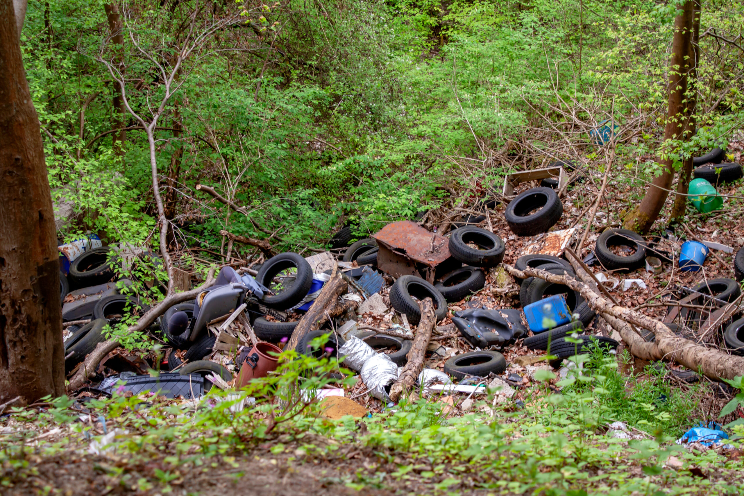 Zoom sur le trafic de d&eacute;chets, une activit&eacute; du crime organis&eacute; en expansion